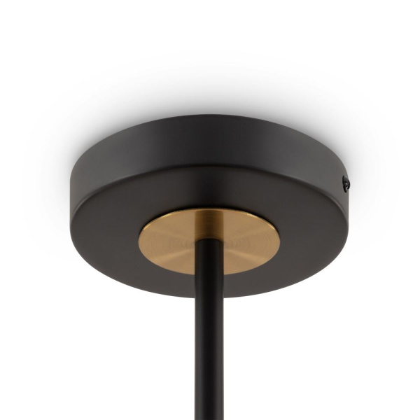 Потолочный светильник Freya FR5370CL-06B