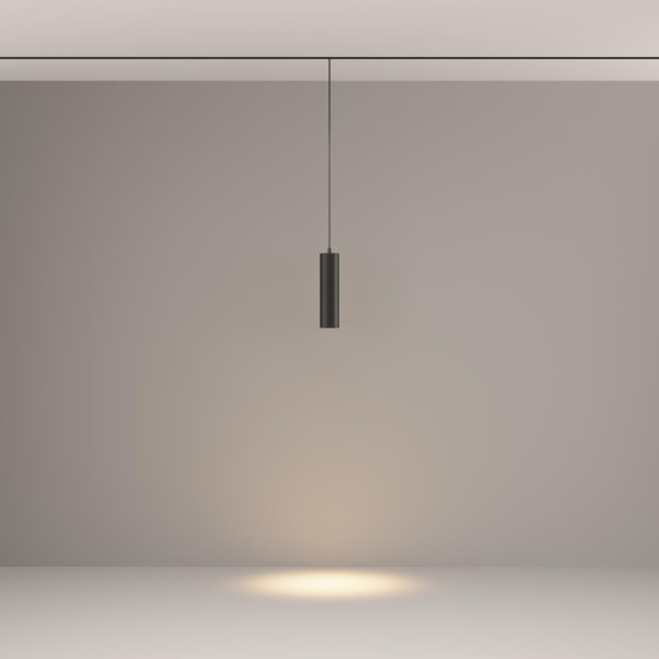 Трековый подвесной светильник Technical TR041-2-12W3K-B