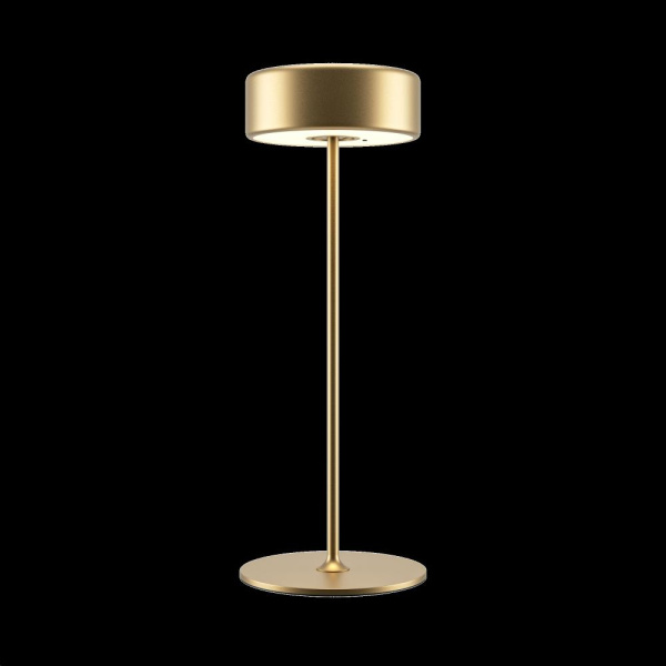 Аккумуляторный светильник Maytoni MOD229TL-L3G3K2