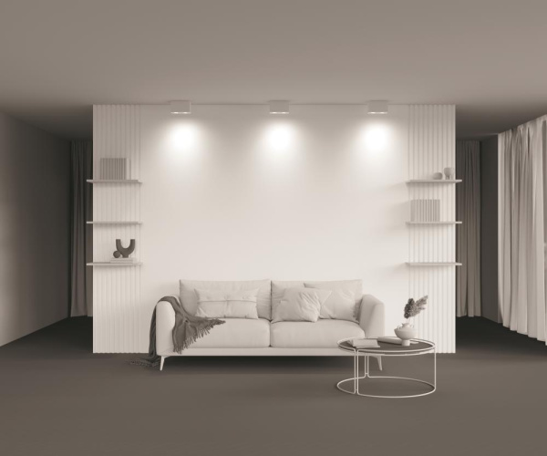 Потолочный светильник Technical C017CL-02W