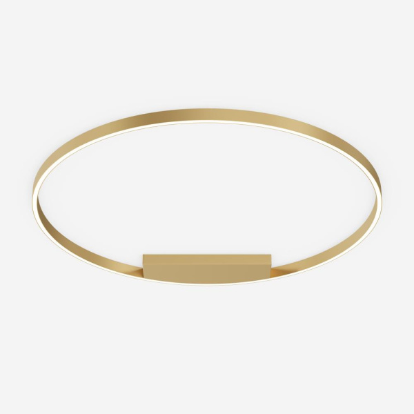 Потолочный светильник Maytoni MOD058CL-L65BSK