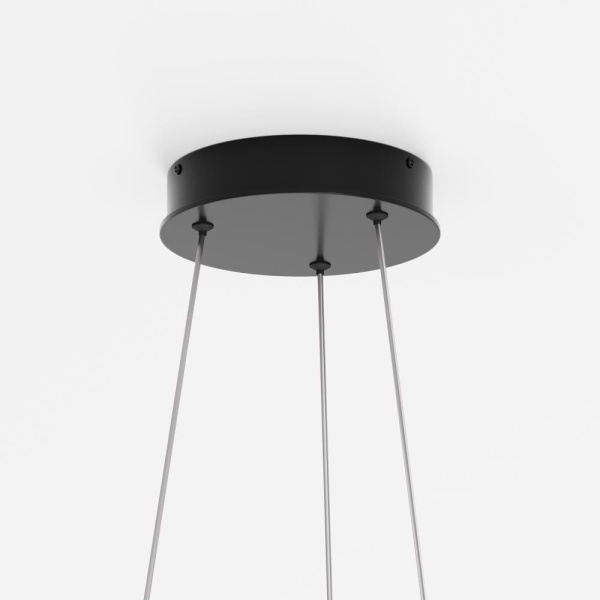 Подвесной светильник Maytoni MOD058PL-L54BK