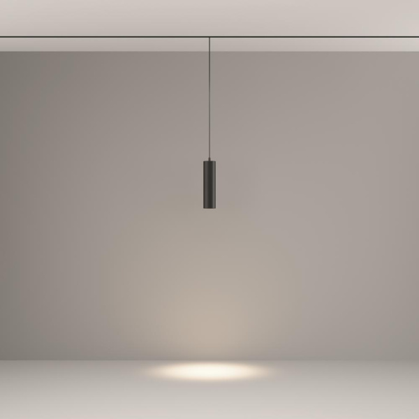 Трековый подвесной светильник Technical TR041-2-12W4K-B