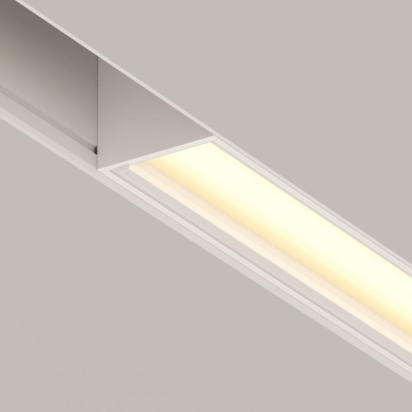 Трековый светильник Technical TR106-2-12W3K-W