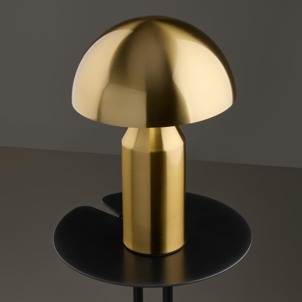 Настольный светильник Freya FR5218TL-01BS