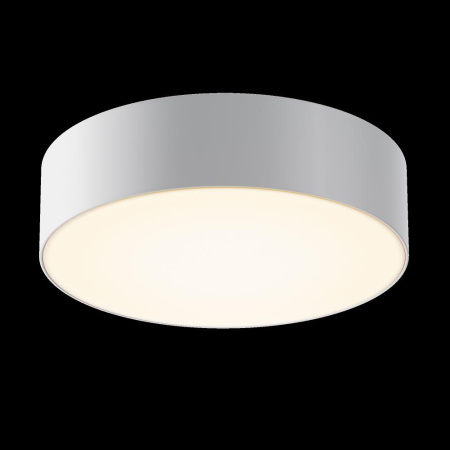 Потолочный светильник Outdoor O431CL-L30W3K