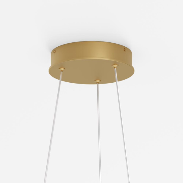 Подвесной светильник Maytoni MOD058PL-L22BSK