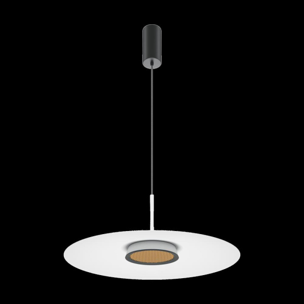 Подвесной светильник Maytoni MOD041PL-L15W3K1