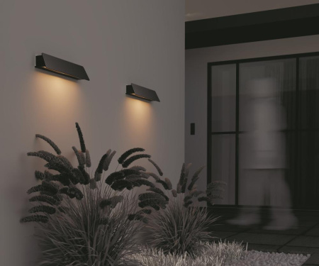 Настенный светильник (бра) Outdoor O429WL-L10GF3K
