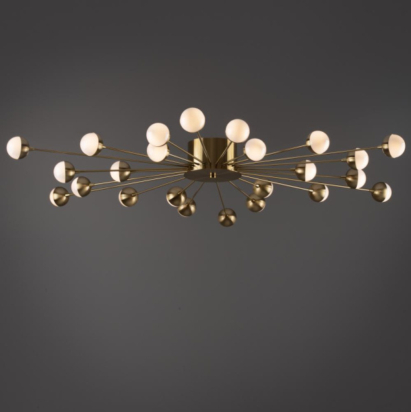 Потолочный светильник Freya FR5242CL-24BS