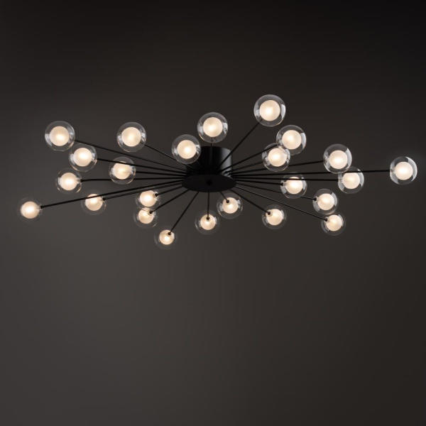 Потолочный светильник Freya FR5242CL-24B1