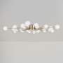 Потолочный светильник Freya FR5242CL-24BS1