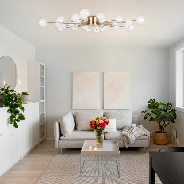 Потолочный светильник Freya FR5242CL-24BS1