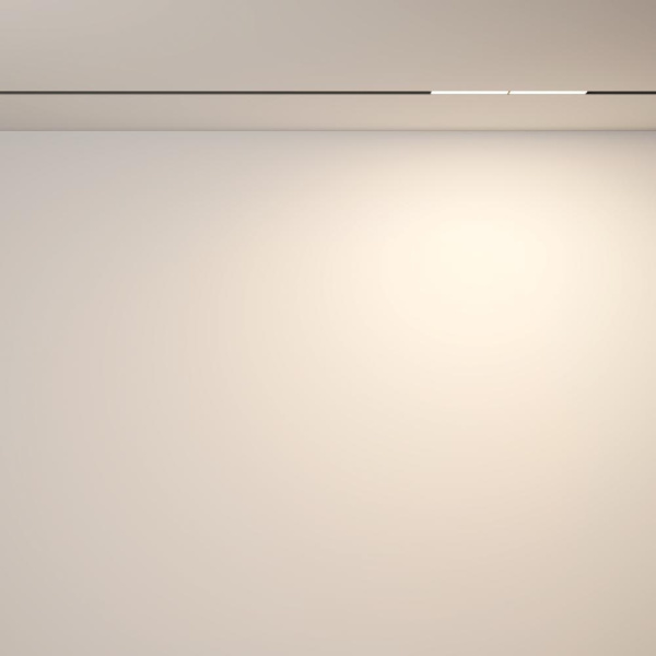 Трековый светильник Technical TR106-2-12W3K-B