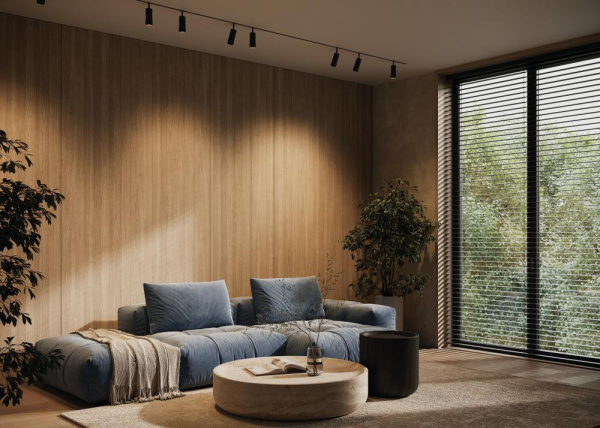 Трековый светильник Technical TR211-1-12W3K-Z-B