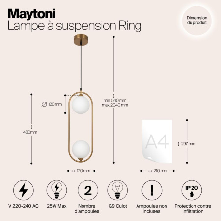 Подвесной светильник Maytoni MOD013PL-02BS1