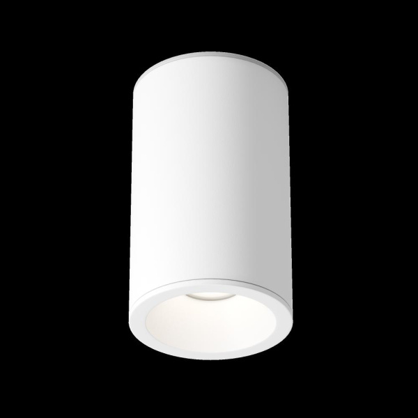 Потолочный светильник Technical C029CL-01-S-W