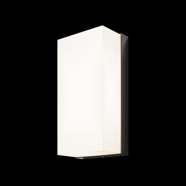 Настенный светильник (бра) Outdoor O454WL-L10GF3K