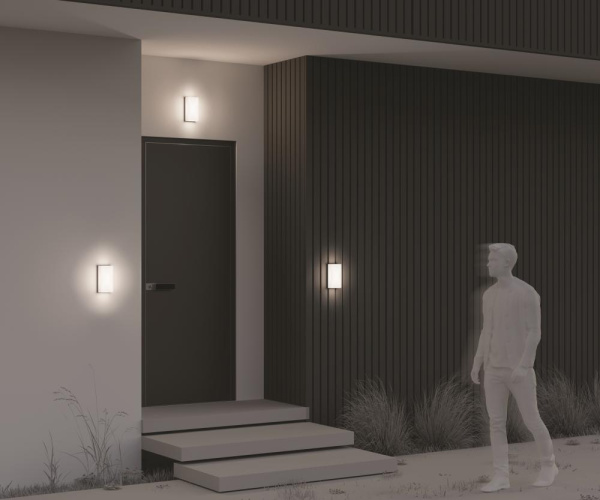 Настенный светильник (бра) Outdoor O454WL-L10GF3K