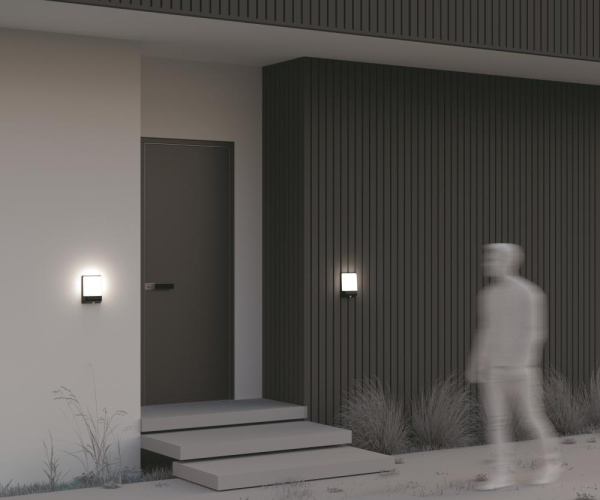 Настенный светильник (бра) Outdoor O448WL-L9GF3KSR