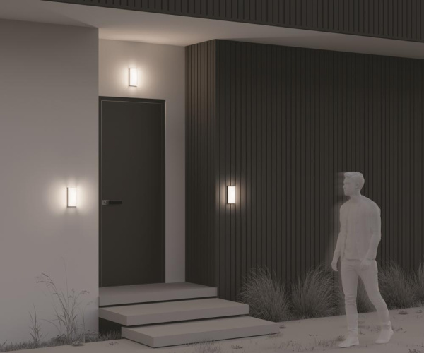 Настенный светильник (бра) Outdoor O454WL-L10GF3K1