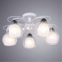 A7585PL-5WH