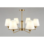 OML-68207-06