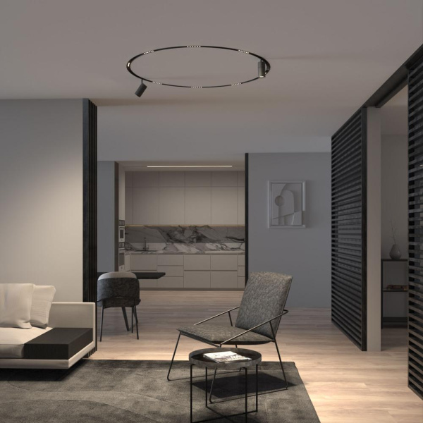 Slim Magnetic Трековый поворотный светильник для радиусного шинопровода 20W 4200K Comfi чёрный Ø 1200мм 85190/01