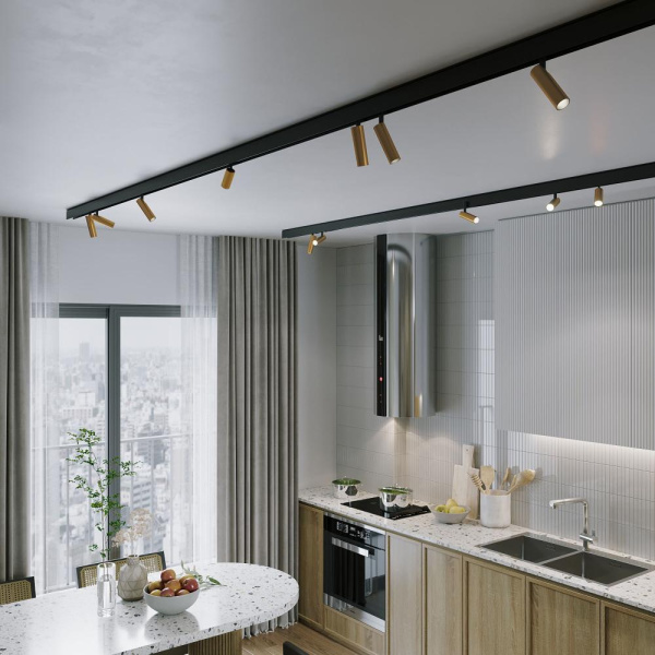 Slim Magnetic Трековый поворотный светильник 14W 4200K Dual латунь 85046/01