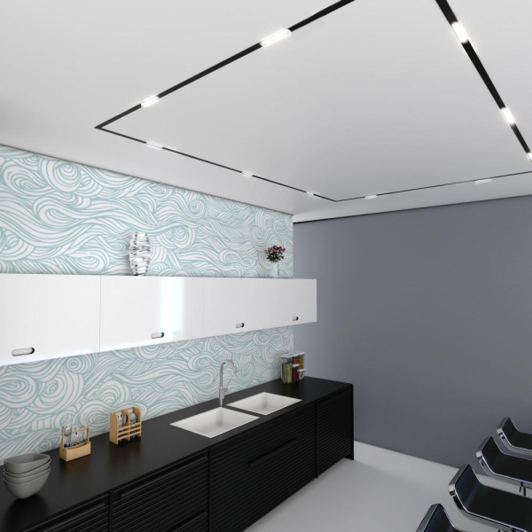 Slim Magnetic WL01 Трековый светильник  6W 4200K черный 85007/01