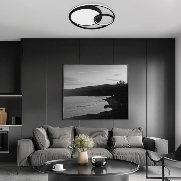 Потолочный светодиодный светильник с регулировкой яркости и цветовой температуры 90254/1 черный