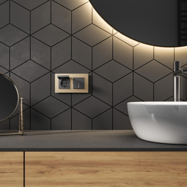 Розетка влагозащ. с зазем. с защит. крышкой и шторками N (графит матовый) W1171264