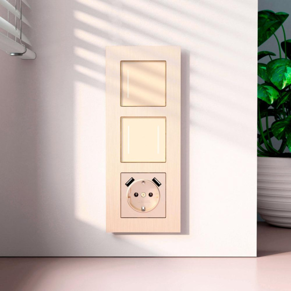 Рамка на 3 поста  AluMax (шампань) W0033511