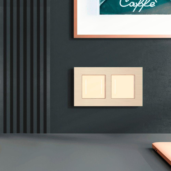 Рамка на 2 поста  AluMax (шампань) W0023511