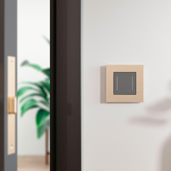 Рамка на 1 пост AluMax (шампань) W0013511