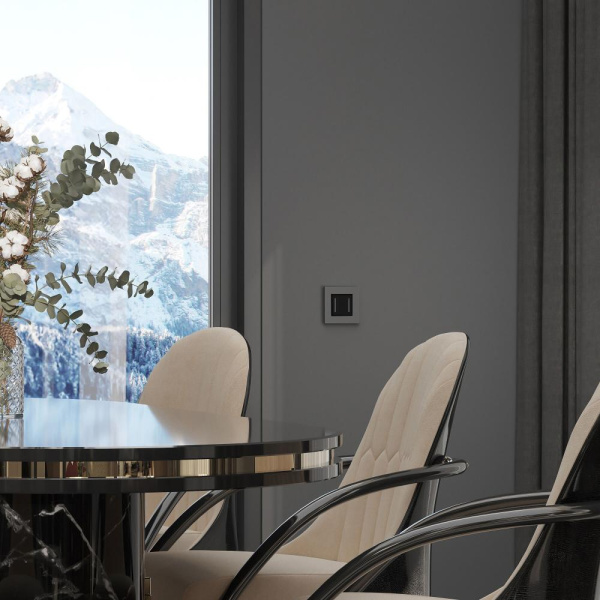 Рамка на 1 пост Slab (серебро софт) W0012965