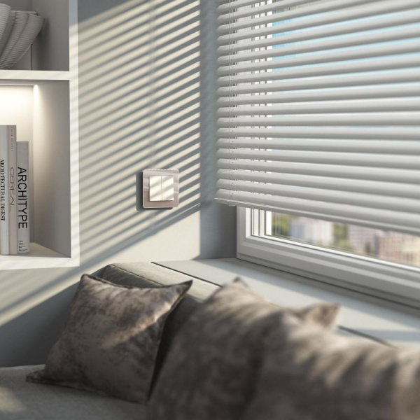 Выключатель двухклавишный с самовозвратом (белый) W1122401