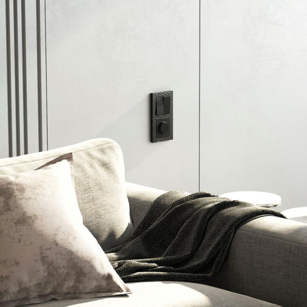 Рамка на 2 поста (черный) W0022408