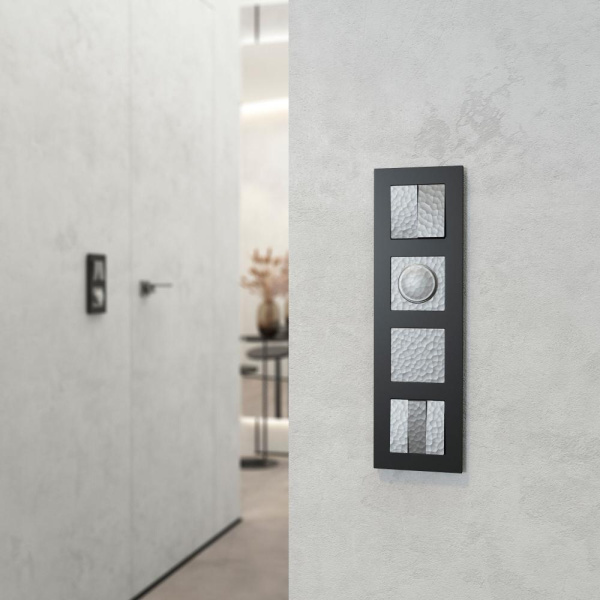 Заглушка (серебряный) W1259206