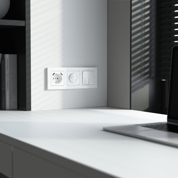 Диммер (белый) W1242001