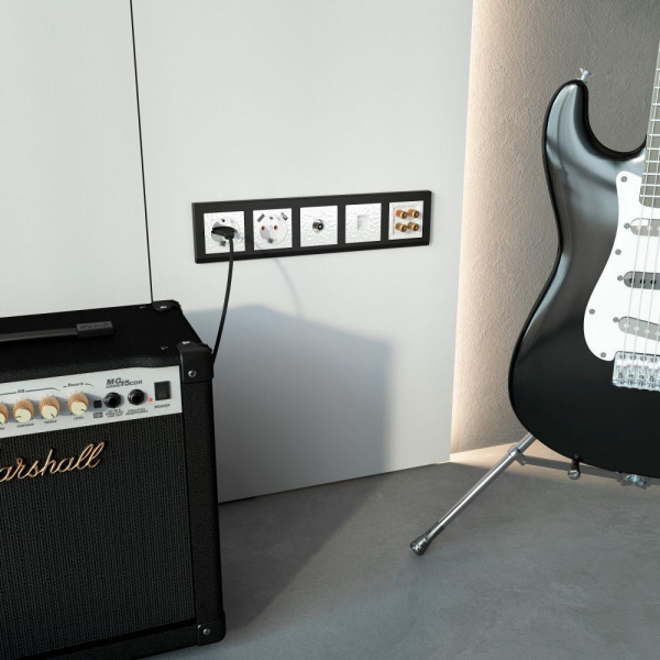 Акустическая розетка (белый) W1285001