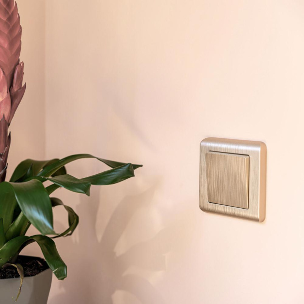 Рамка на 1 пост (шампань) W0012111