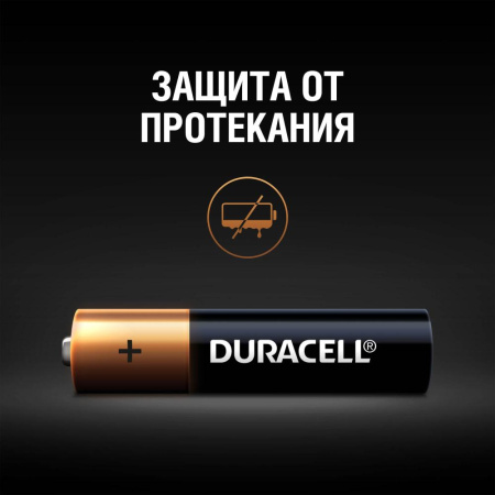 Duracell LR03-2BL BASIC CN (24/96/14592)