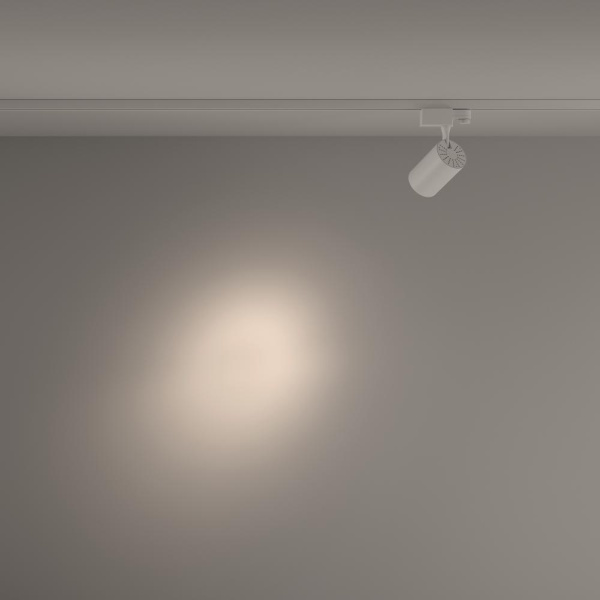 Трековый светильник Technical TR029-3-10W4K-S-W