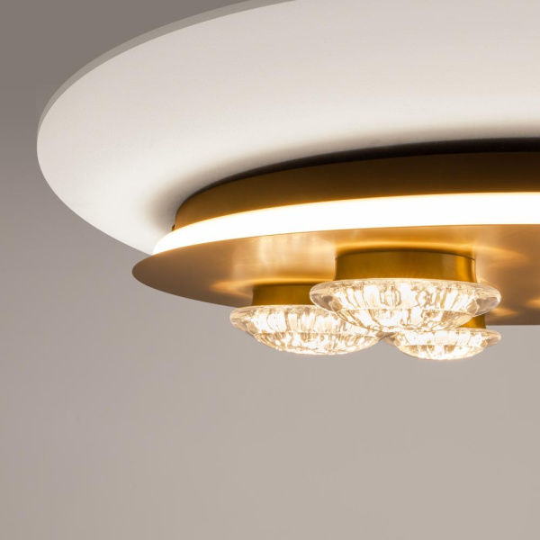 Потолочный светильник Maytoni MOD361CL-L58BS3K