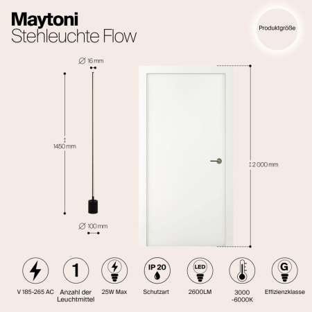 Напольный светильник (торшер) Maytoni MOD147FL-L20BK1
