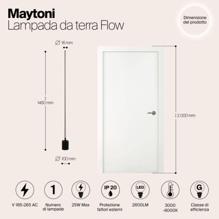 Напольный светильник (торшер) Maytoni MOD147FL-L20BK1