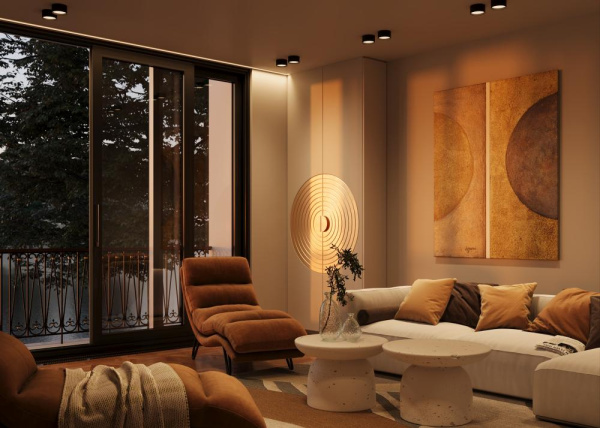 Потолочный светильник Technical C091CL-12W3K-B