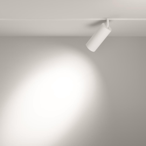 Трековый светильник Technical TR032-2-20W3K-S-W