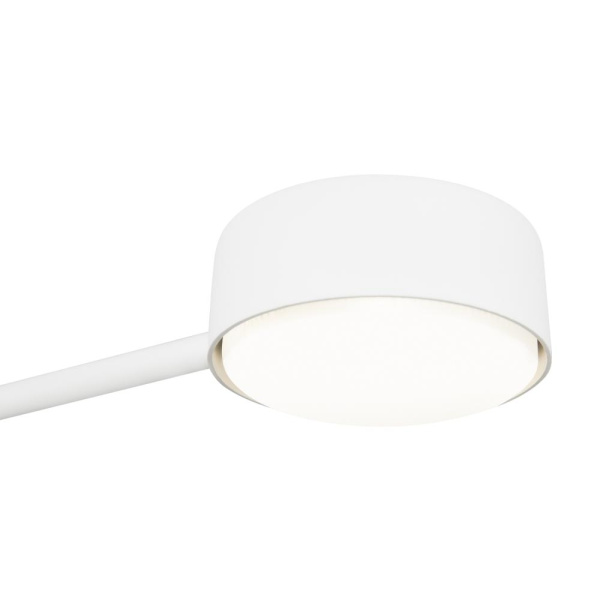 Потолочный светильник Freya FR5363CL-02W1